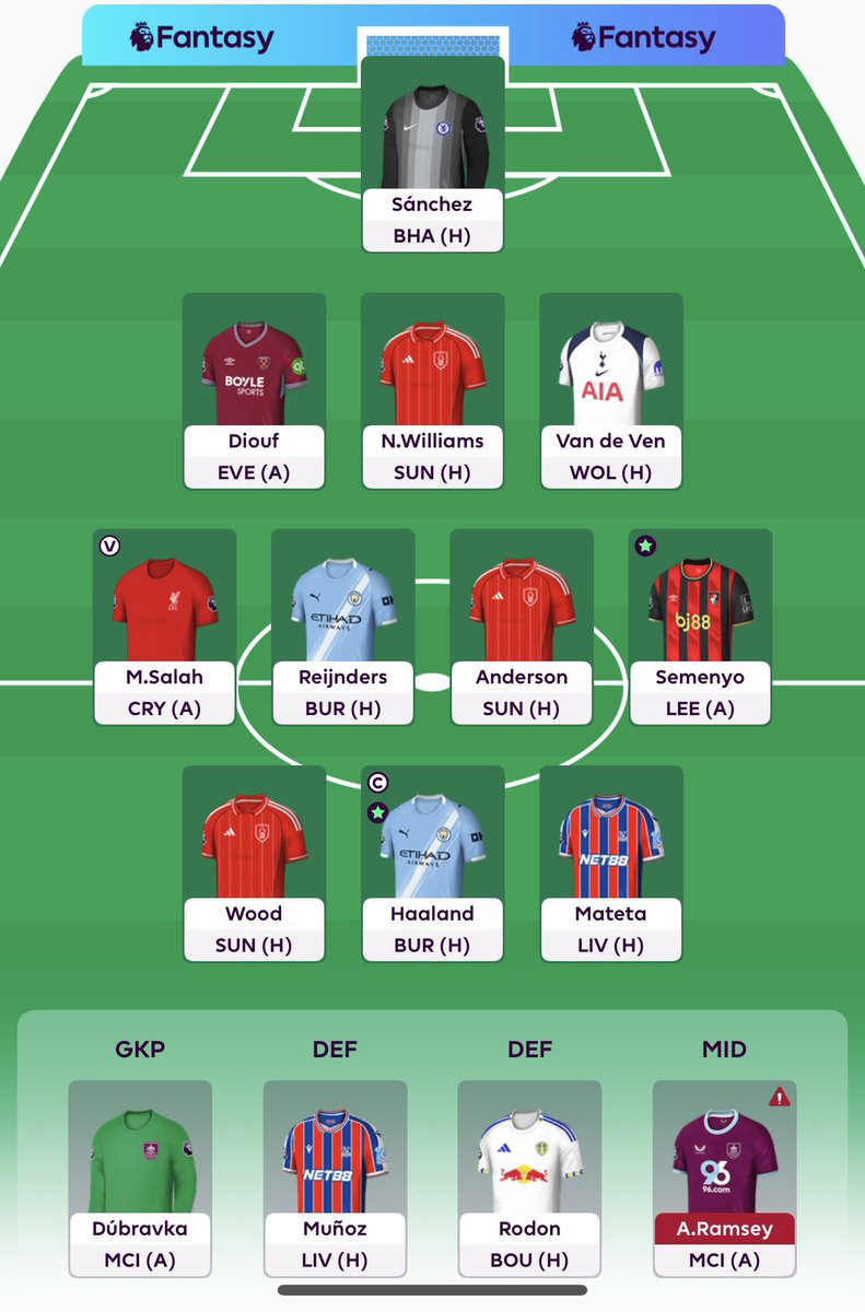 FPL Hayley tweet media