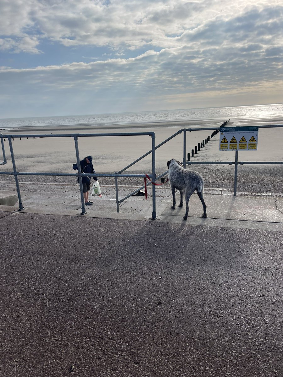 Clairie21's tweet photo. Boo is banned from this bit so just waits while we tidy up @fstonehythedc #beachclean #fireworks #lovewhereyoulive #doingourbit #rubbish #litterpick https://t.co/MWRJG6B5kT
