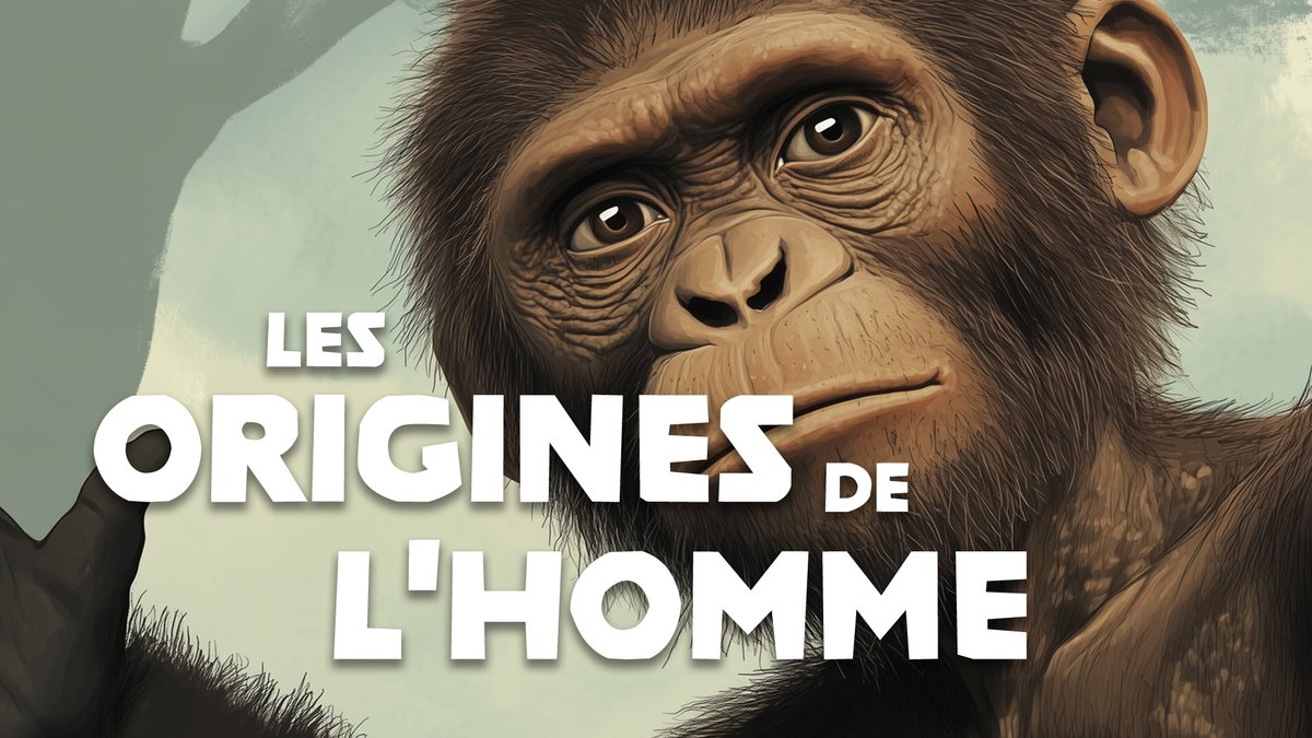 jolyvk's tweet photo. Les origines de l’Homme (et de la vie sur Terre), simplement 😇 

Premier épisode d'une nouvelle série ↓

https://t.co/3ZhD8ppr6V https://t.co/XxeKX62wXq