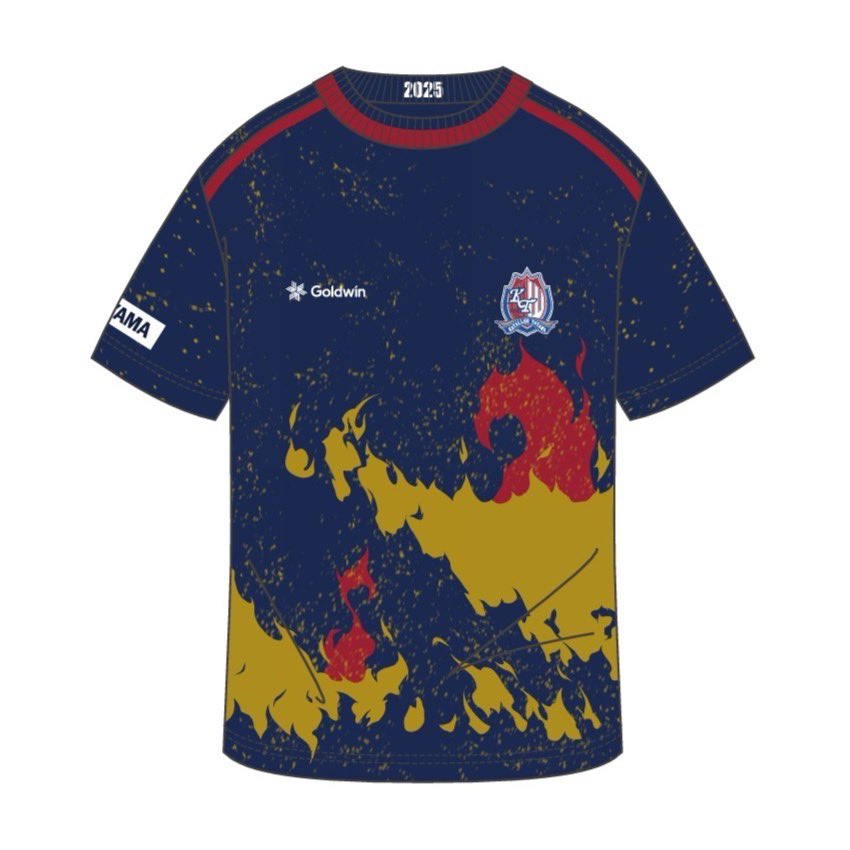 非売品　GOLDWIN カターレ富山　選手支給品　ジャージ上下　ブルー　L 非売品 GOLDWIN カターレ富山 選手支給品 ジャージ上下 ブルー L