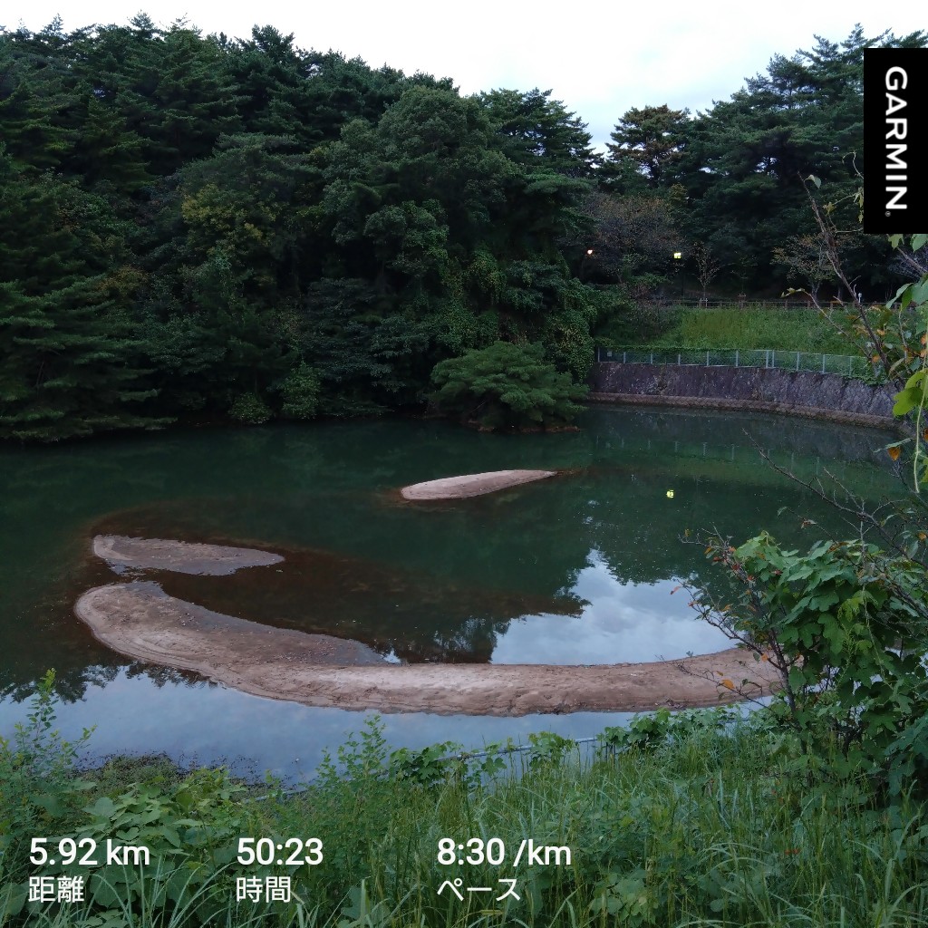 evolution_Avi's tweet photo. 9月もあと少し、ギリギリまでがんばる😃
#週末RUN https://t.co/7izv6Z4kmv