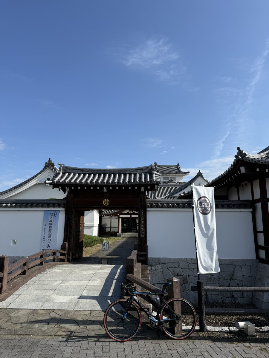 winner23dt's tweet image. 今日は江戸川土手を北上して関宿城まで行ってきた🚴💨
草凄いし虫が多くて走りやすいとは言えない悪条件…早朝以外は暑かったし💦
猫がいたのは良かった笑
往復70km超の朝練でした！
#ロードバイク  #MERIDA  #REACTO