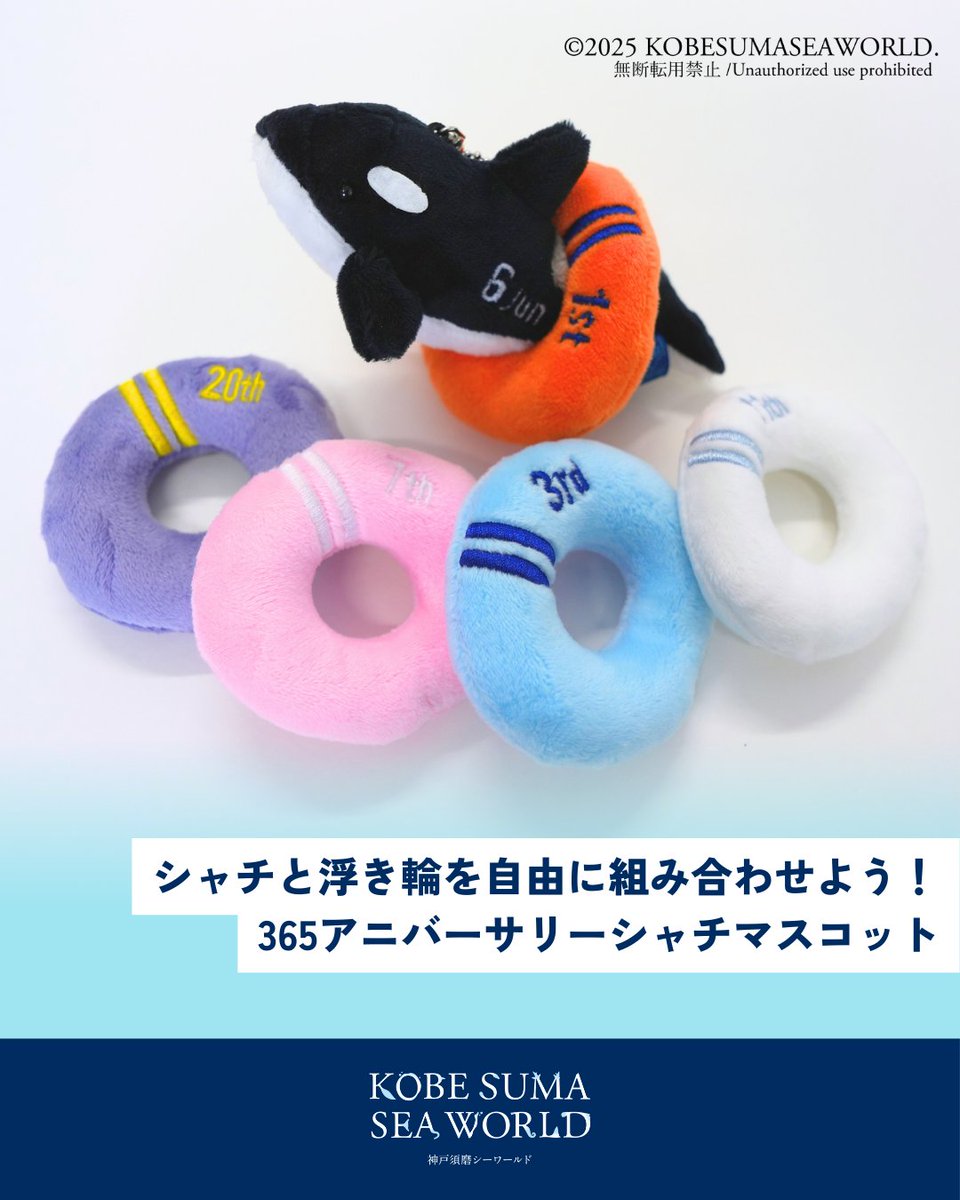 12か月の刺繍が入った #シャチ のぬいぐるみと日にちの浮き輪を自由に