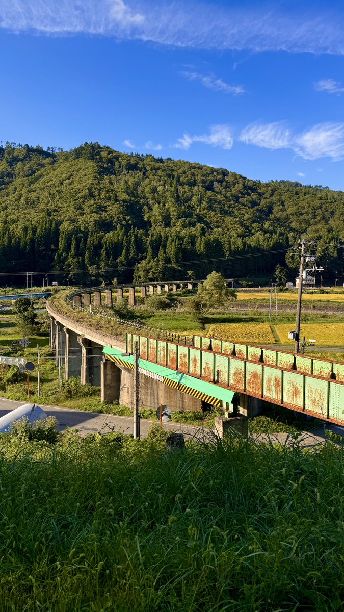 浦崎恭平🌸 tweet media