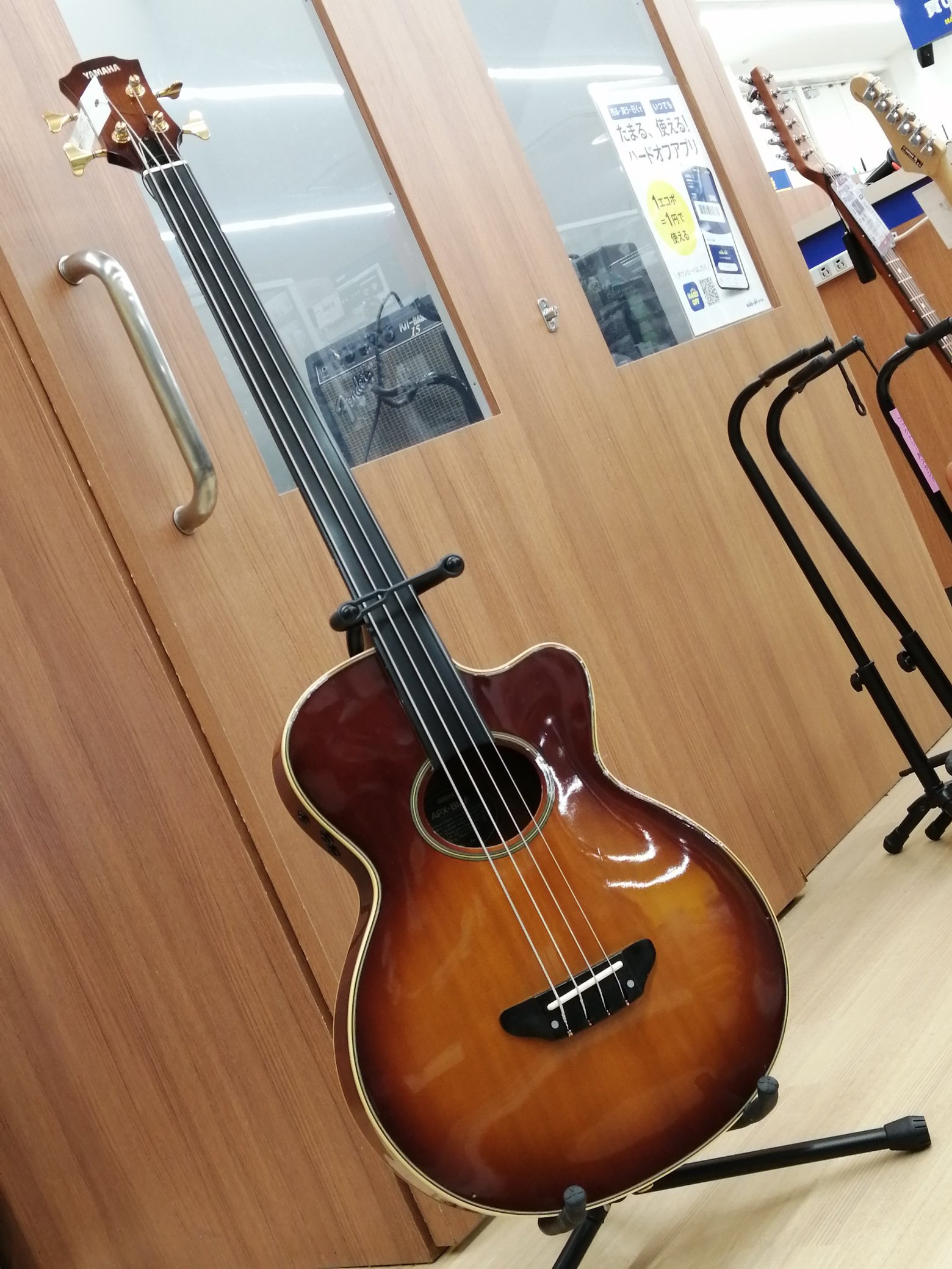 3SDM65 Athlete アコースティック フレットレスベース 3SDM65 Athlete アコースティック フレットレスベース 3SDM65