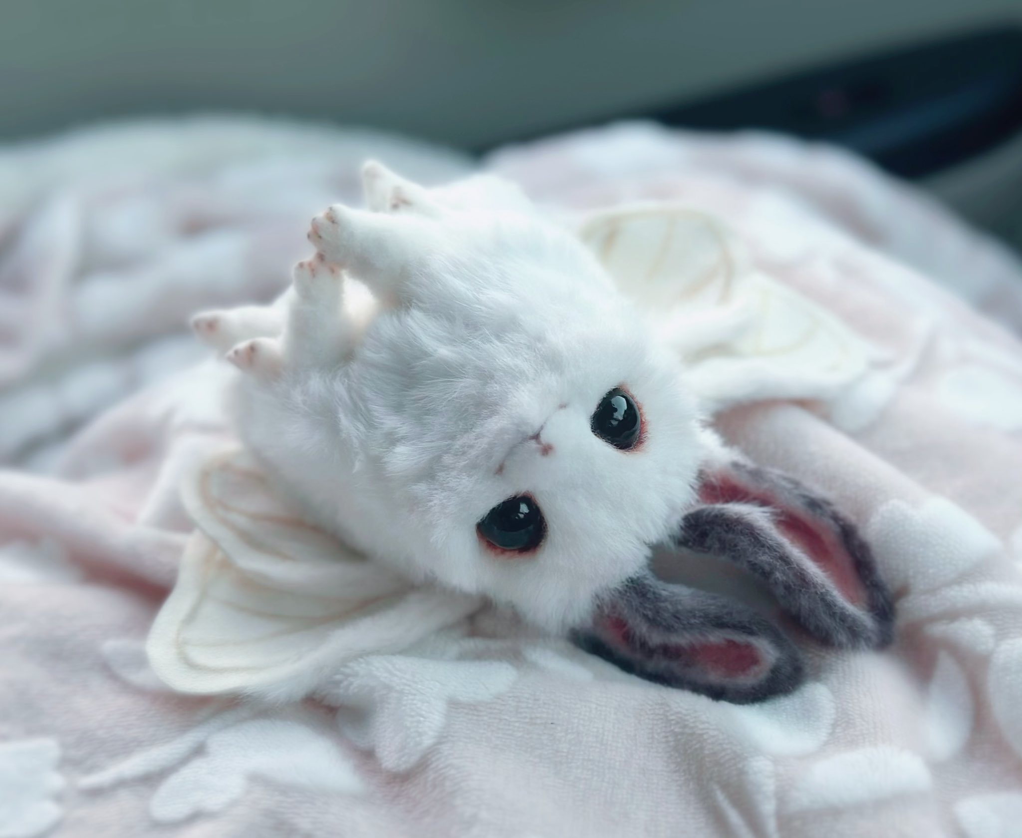 みーこ (@mikeeneko) / X