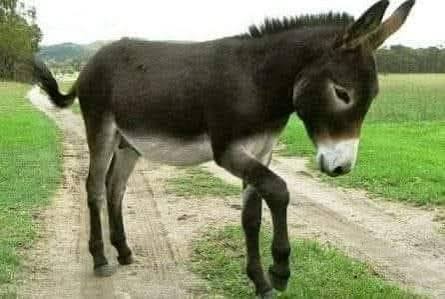 ggoon999's tweet photo. @iyarojhat190664 @Babani_Cagir @derdo_detanirla Çüka ben buldum senin anayın fotosunu https://t.co/TbfQsxUkub