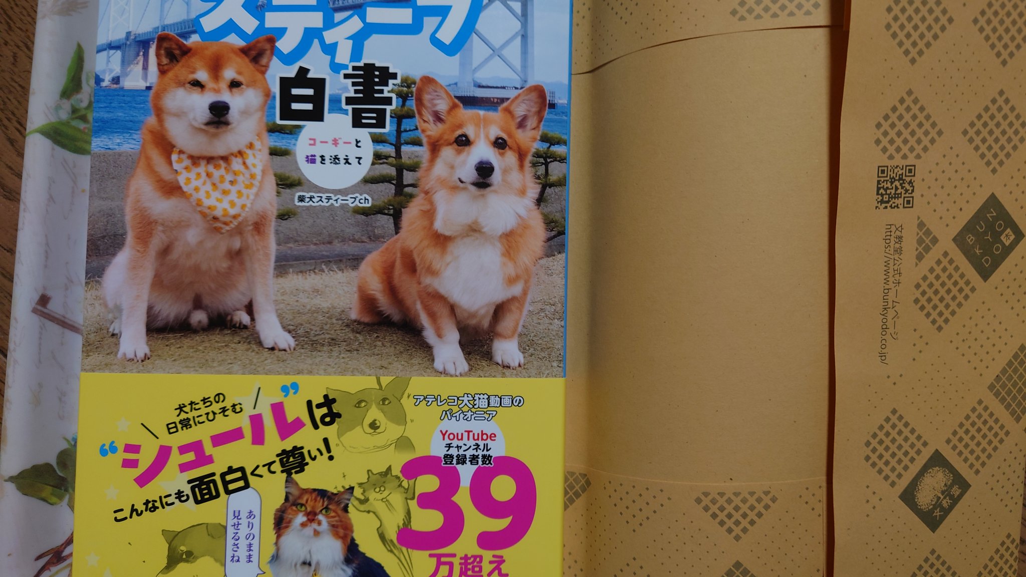 しば様 Shi-Ba夏号が発売されました🌻 @shiba2929 ⁡ 今月の #柴ししゅう