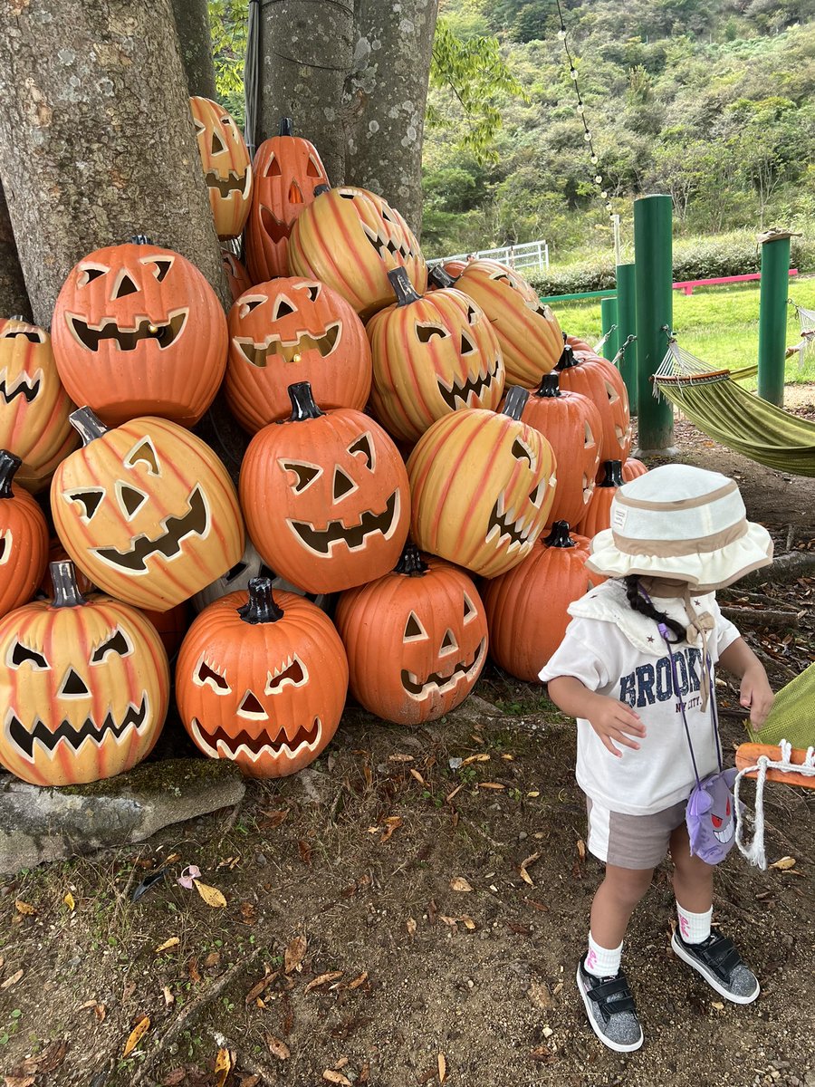 mio___m929's tweet photo. 🎃👻🪦🧙‍♀️🧡 https://t.co/oGUhGHnFlp
