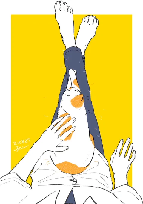猫と人