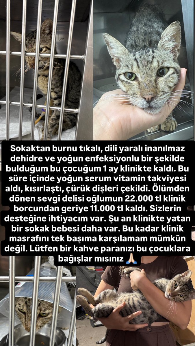 11.000 klinik borcu için desteğinize ihtiyacım var 🙏🏻