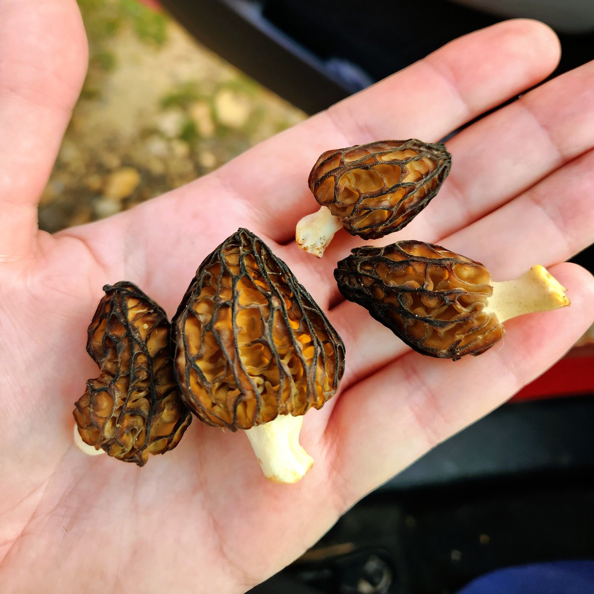 Double Em tweet media