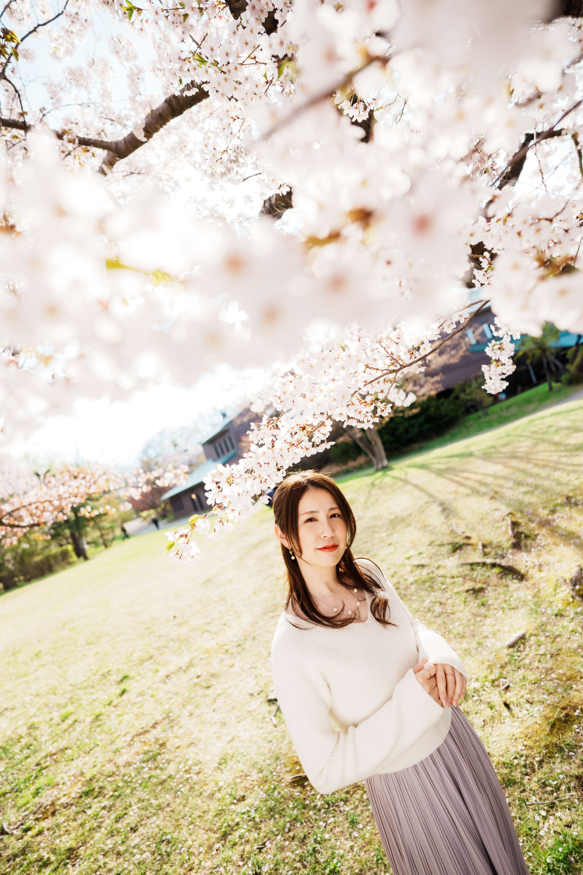 桜神様　25日頃 桜神様25日頃