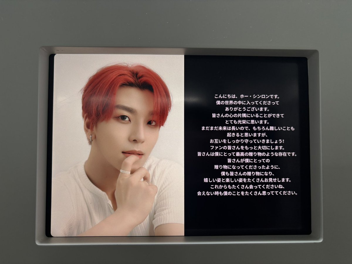 ボイプラコレクトブック シンロン アーカイブ展