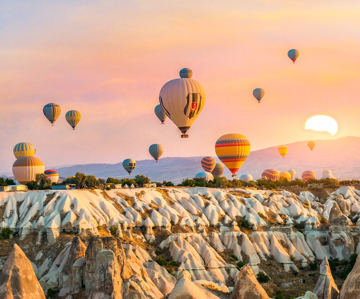 GABI ȘTEFURA (@gabistefura) on Twitter photo 