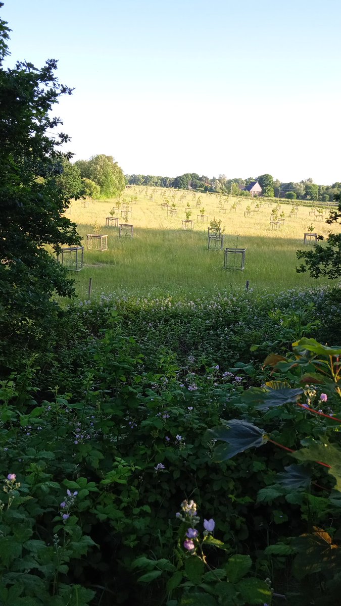 🍀🌼🌻 hübsch und nett ab ins Wochenende ☺️.