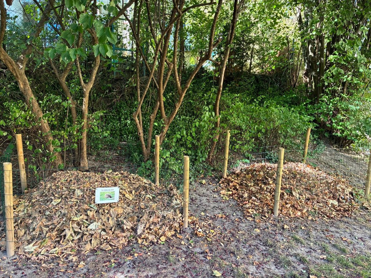 MiastoUrsynow's tweet image. Tymczasem przy #Dembowskiego 🦔🦔🦔 facebook.com/share/p/17Mnmw…