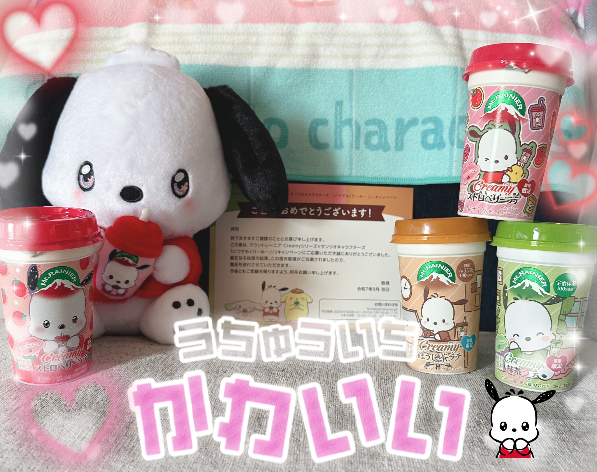 マウントレーニア ポチャッコぬいぐるみ マウントレーニア サンリオ 当選 ポチャッコ レア - メルカリ