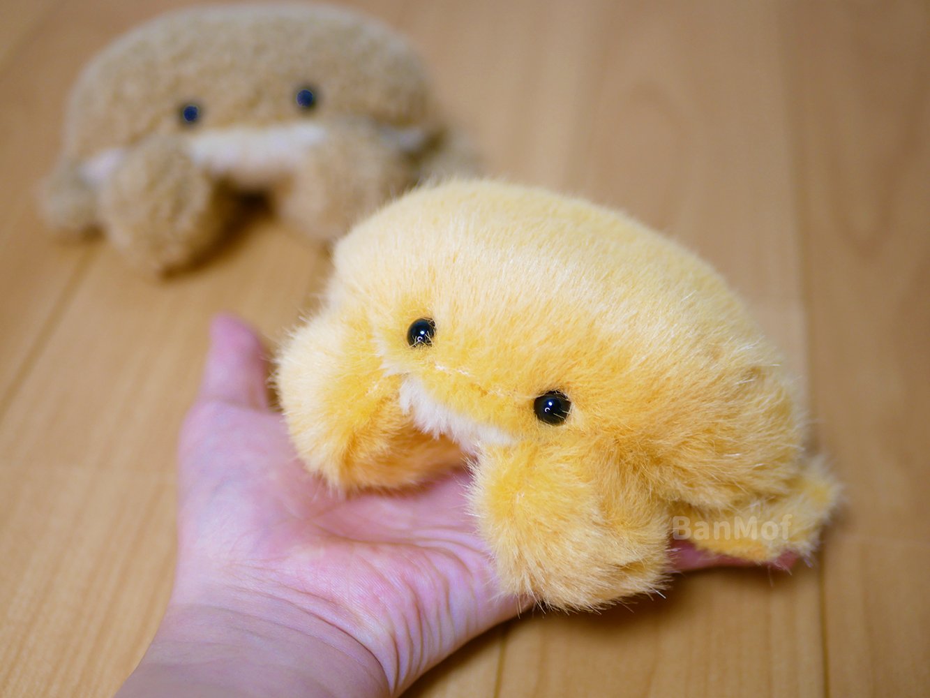 BanMof ばんばぱえりあ ラッコ ブラウン ぬいぐるみ BanMof ばんばぱえりあ ラッコ ブラウン ぬいぐるみ BanMof