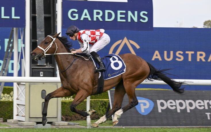 Lillingston_Bloodstock (@kernlillingston) on Twitter photo WATERFORD π₯β¬οΈβ¬οΈ
Easy winner of the Gr2 Shannon Stakes <a href="/rosehillgardens/">Rosehill Gardens</a> π¦πΊ. Congratulations to connections <a href="/cwallerracing/">Chris Waller Racing</a>. Purchased privately in England after his debut <a href="/GBRI_UK/">GBRI</a>. Bred by <a href="/kildaraghstud/">Kildaragh Stud</a> π. WATERFORD π₯β¬οΈβ¬οΈ
Easy winner of the Gr2 Shannon Stakes <a href="/rosehillgardens/">Rosehill Gardens</a> π¦πΊ. Congratulations to connections <a href="/cwallerracing/">Chris Waller Racing</a>. Purchased privately in England after his debut <a href="/GBRI_UK/">GBRI</a>. Bred by <a href="/kildaraghstud/">Kildaragh Stud</a> π.