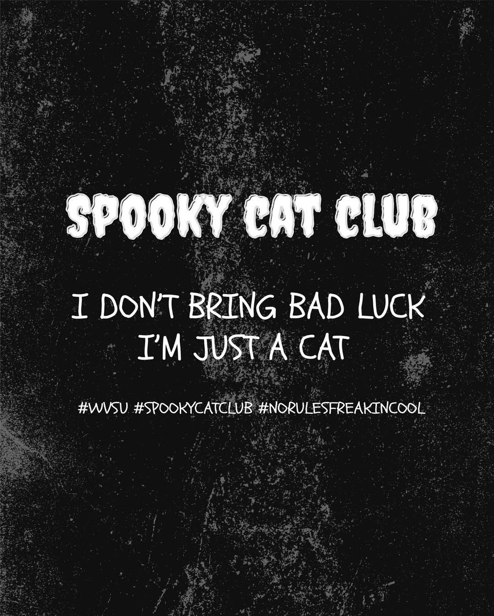 📥 27.09.25 | wvsu.official IG Update

The #Spookycatclub Collection is for those bold enough to own their path to spark fear, turn heads, and steal hearts all at once.

#wvsu

🖇️ instagram.com/p/DPGhJoskbrA/…

#FortPeatUpdate
<a href="/peatwasu/">peatwasu #ต้องรัก</a> #Peatwasu
#CaptainPeat #BabyFeat