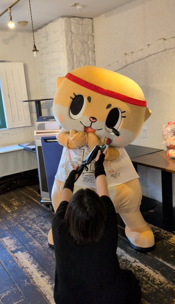 【確認用】annaちゃん( *°ω°* )/ᵗᑋᵃᐢᵏ ᵞᵒᵘ コウペンちゃん ポストカード（不安をおあずかり） – コウペン