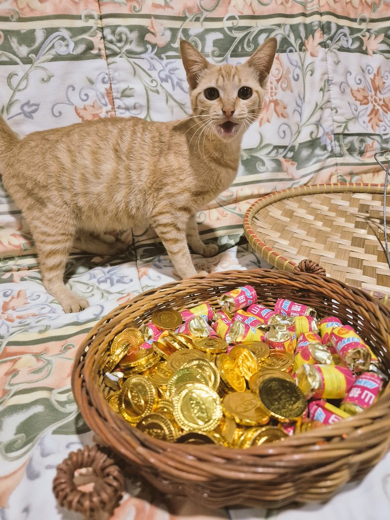 Khajiit has wares, if you have coin 🪙