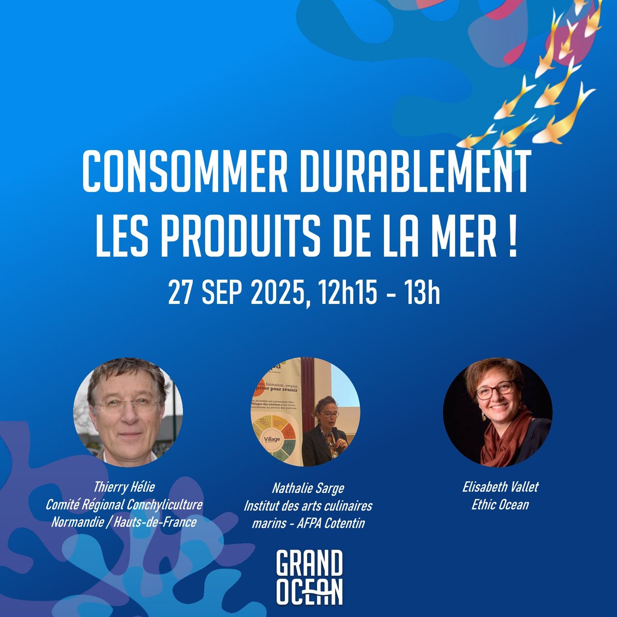 Grand Océan tweet media