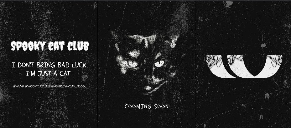 #WVSU #Spookycatclub new collection's coming soon 🐈‍⬛👻

<a href="/peatwasu/">peatwasu #ต้องรัก</a> #Peatwasu
