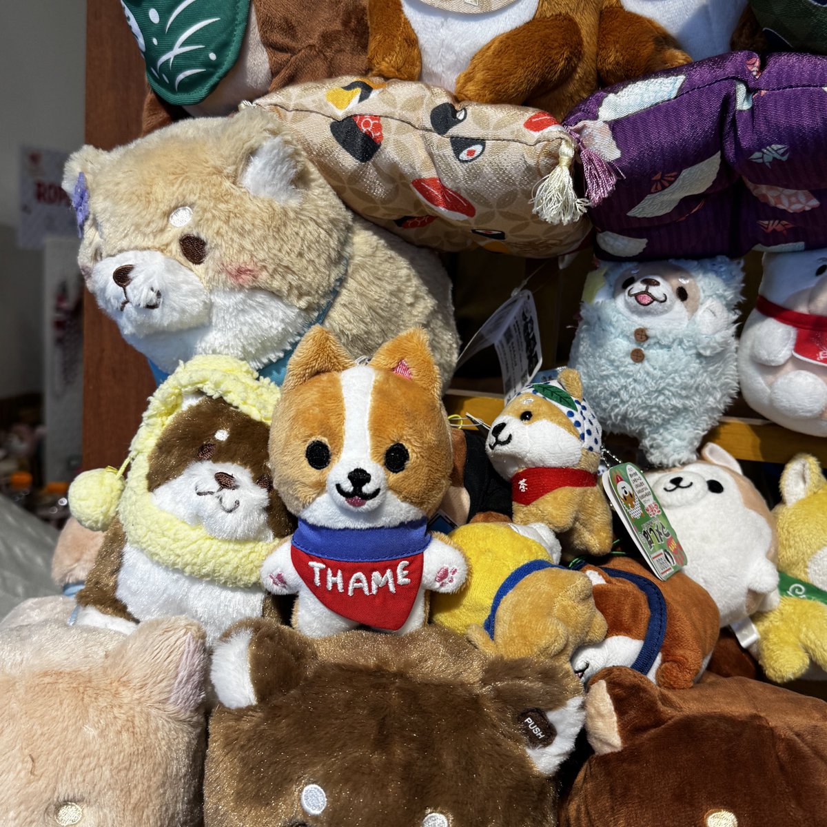 termthametothai's tweet image. เต็มเจอเพื่อนเยอะเลยคั้บ🐶🐶🐶🐶

#21stShiningTHAIstory
#THAIchayanon