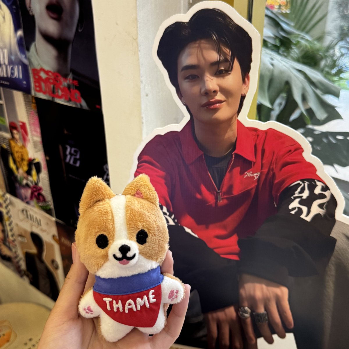 termthametothai's tweet image. เต็มเจอเพื่อนเยอะเลยคั้บ🐶🐶🐶🐶

#21stShiningTHAIstory
#THAIchayanon