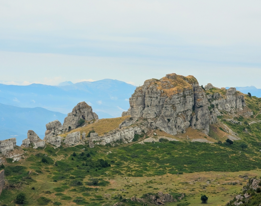 alfilodeloimprobable tweet media