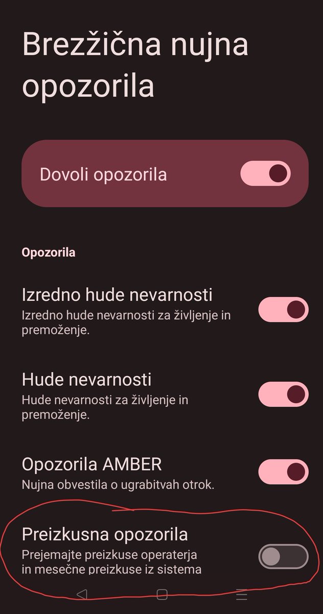 Tamara Langus tweet media