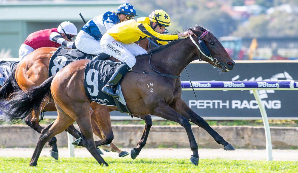 Fernie_Racing's tweet photo. Split The Gee backed up some consistent performances with a big W at #BelmontPark - the first leg of a double for the team.
Western Racepix x #FernieRacing https://t.co/MFJWO0bixM