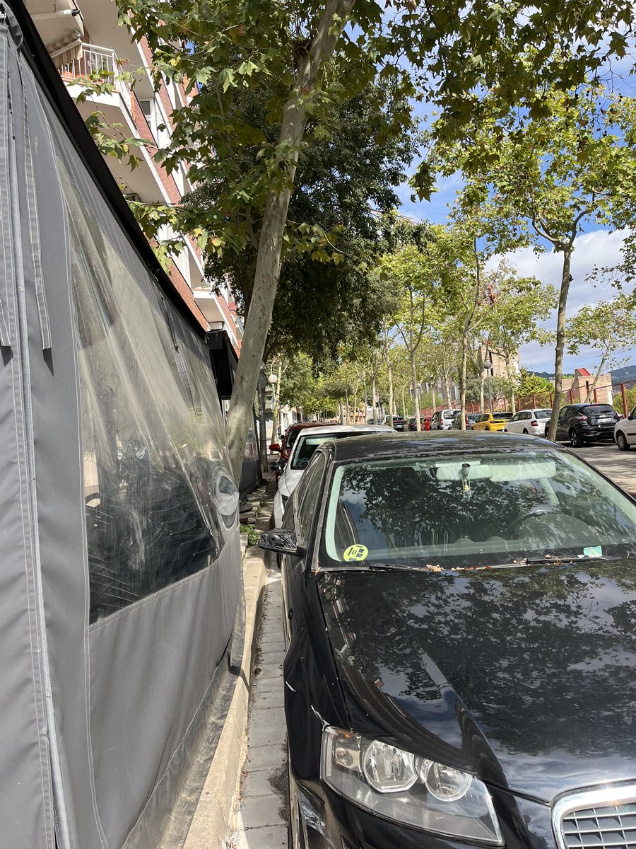 Avui, a l’aportació diària d la runa d ciutat q governa <a href="/Albiol_XG/">Xavier García Albiol</a> :vorera malmesa dsd  fa anys (i no 4 ó 5, mínim 20😅). Moli d la torre 69.Aprofito i us aviso q l’arbre q hi ha al davant d la cafeteria Thanos un dia caurà. Ah!   l’a3 porta 2 anys aparcat aqui.Tot això en 50m.