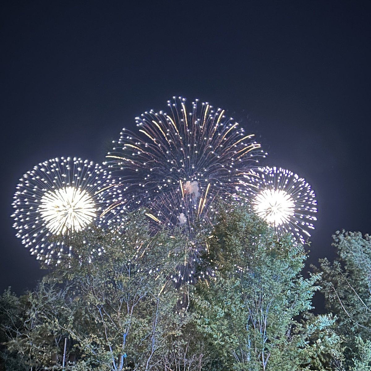 ituki_mama's tweet photo. 万博花火、らぽっぽのイートインからは木々があって見えるのは大きい花火だけでしたー！
でもゆっくり休憩しながら見れて大満足ー✨✨
西ゲートからシャトルバス乗ってもう桜島駅 https://t.co/VxgxBHpUn1