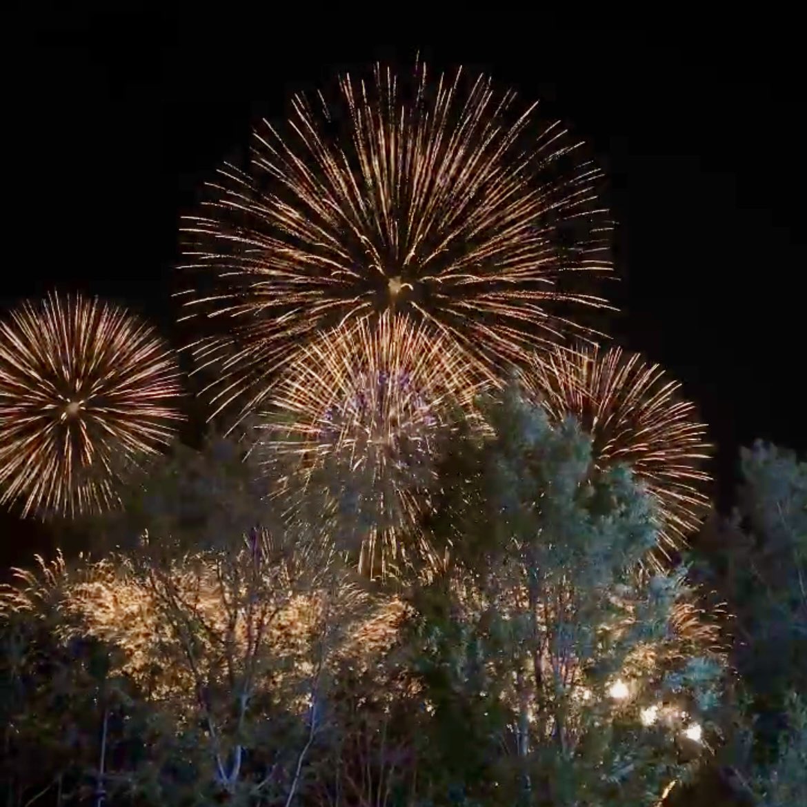 ituki_mama's tweet photo. 万博花火、らぽっぽのイートインからは木々があって見えるのは大きい花火だけでしたー！
でもゆっくり休憩しながら見れて大満足ー✨✨
西ゲートからシャトルバス乗ってもう桜島駅 https://t.co/VxgxBHpUn1