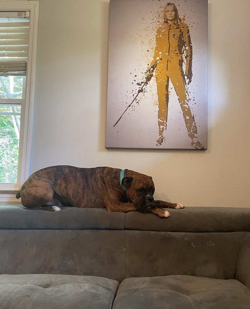 Chris Smith tweet media