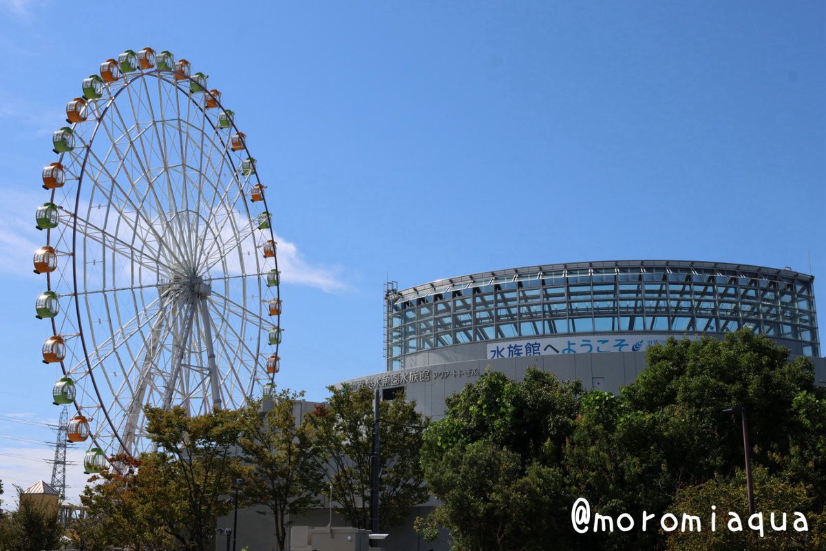 moromiaqua's tweet photo. 今日は岐阜県の #アクア・トトぎふ と三重県の #赤目滝水族館 へ行きました。
アクア・トトは淡水魚中心ということで2時間くらいで充分かと思っていましたが思いの外ボリュームがあり移動時間ギリギリまで楽しんじゃいました。
赤目滝水族館は渓谷の小さな水族館という感じで雰囲気好きです。 https://t.co/3pWAhPmIzj