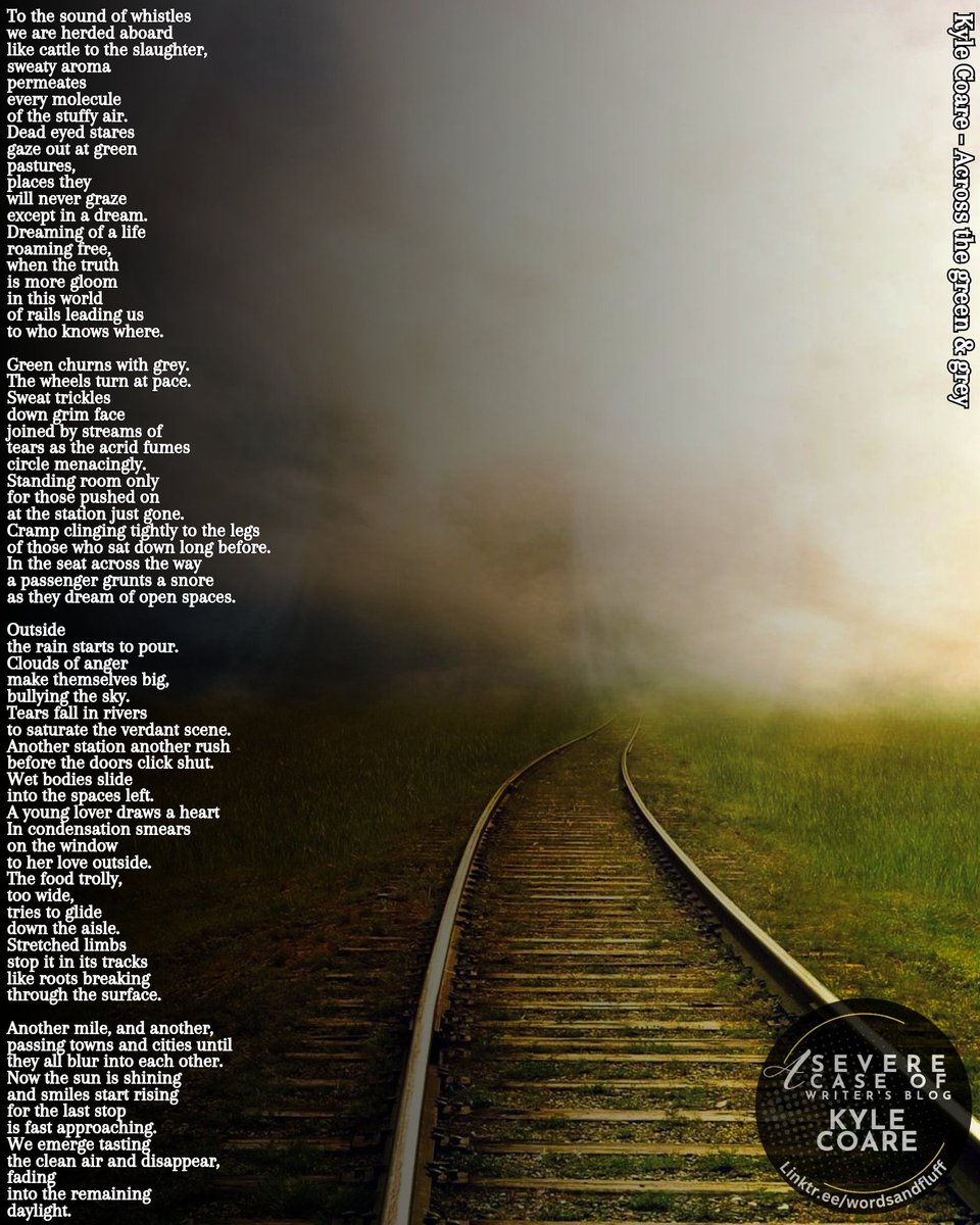 kyle coare tweet media