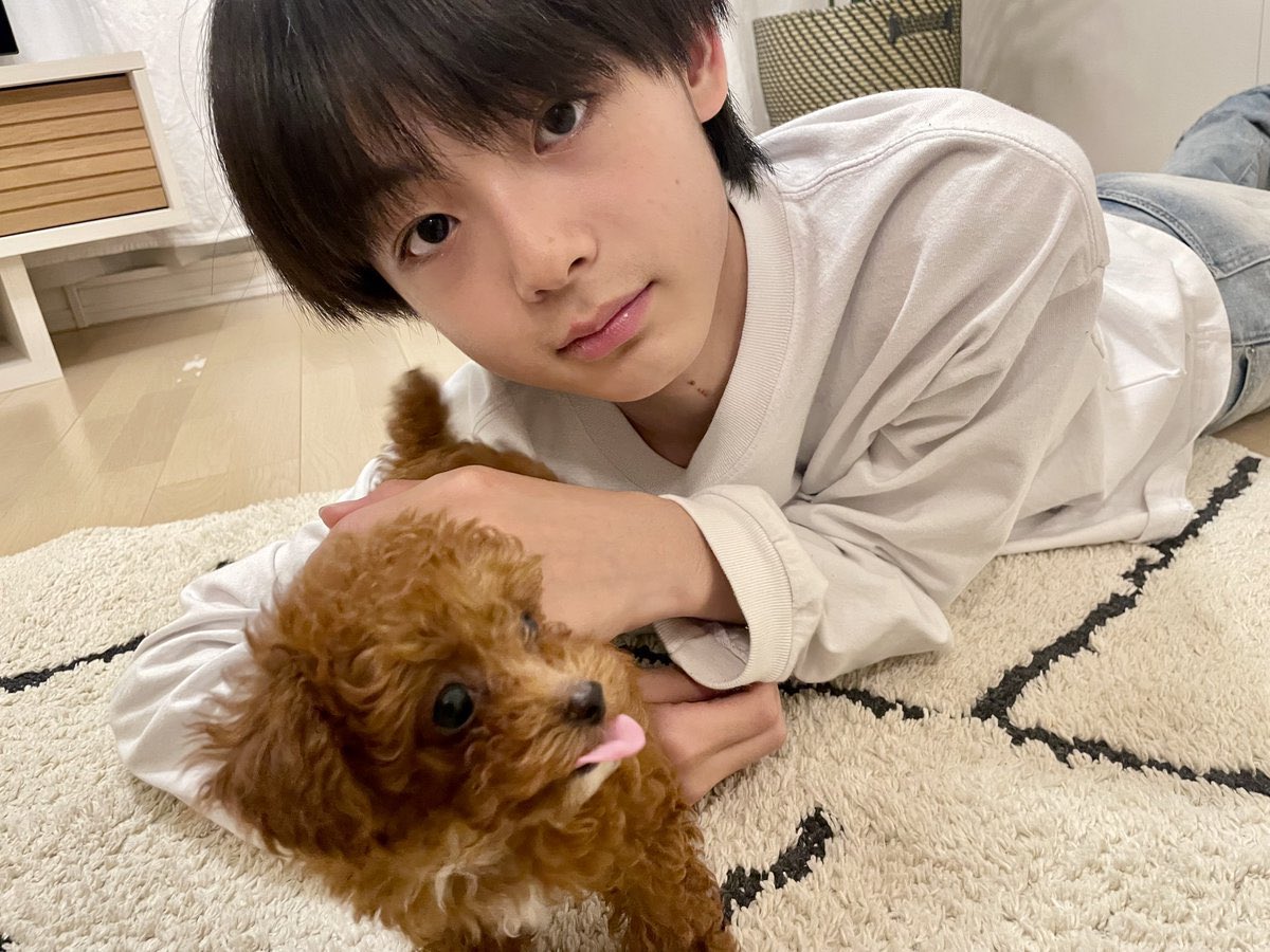 この可愛さは反則よ😇