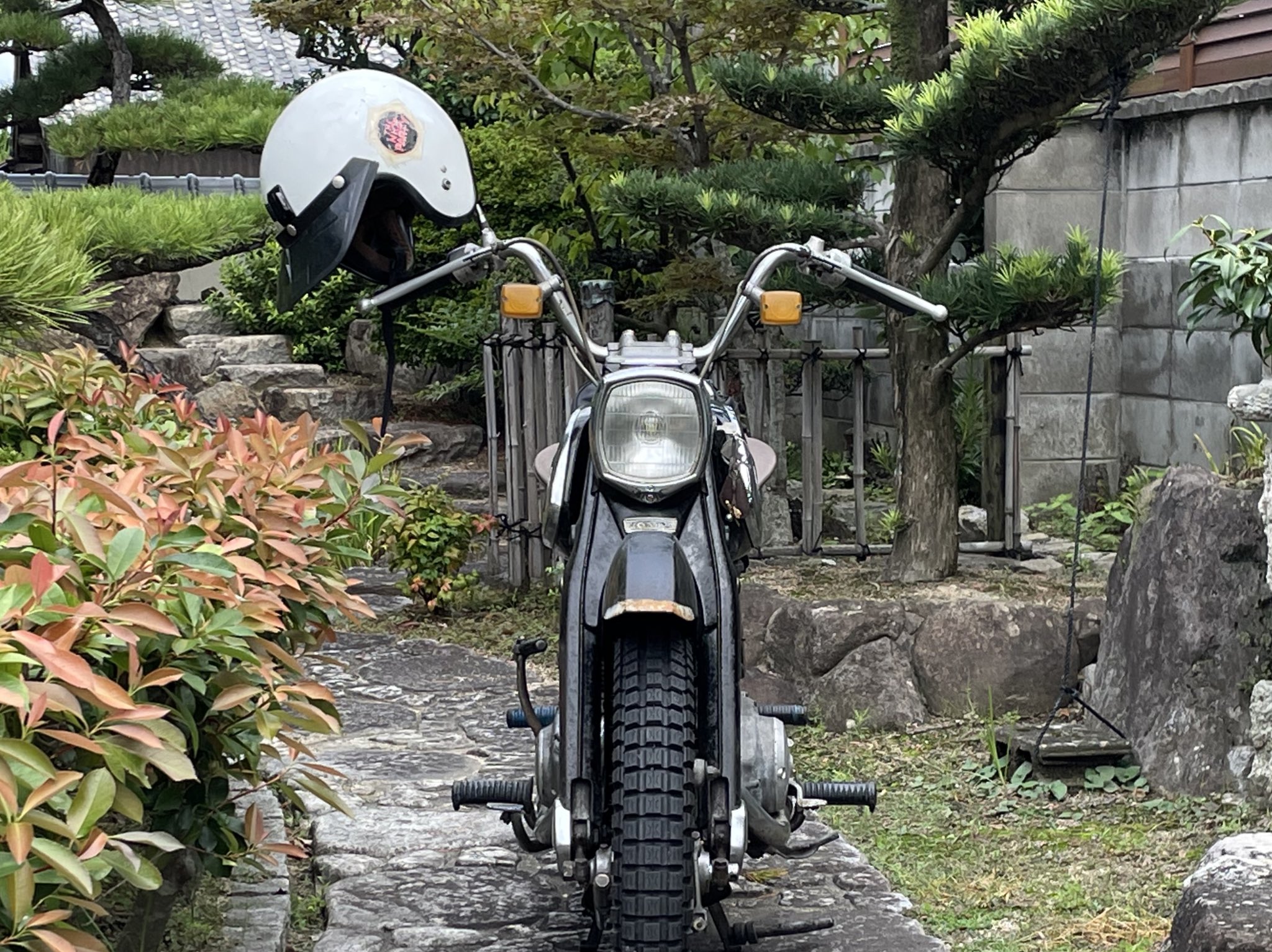 このタグをみたひとはド正面写真を貼る - البحث / X