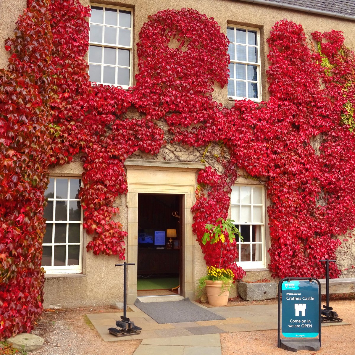 niaga_hijau's tweet image. "Colours are the smiles of nature.
When they are extremely smiling, and break forth into other beauty besides, they are her laughs."
Leigh Hunt #quote
Virginia Creeper, Crathes Castle
#beauty #smiles #laughs
#nature #photography
Happy #Autumn Days..
#art #naturelovers .. 🍂🍁💛🕊