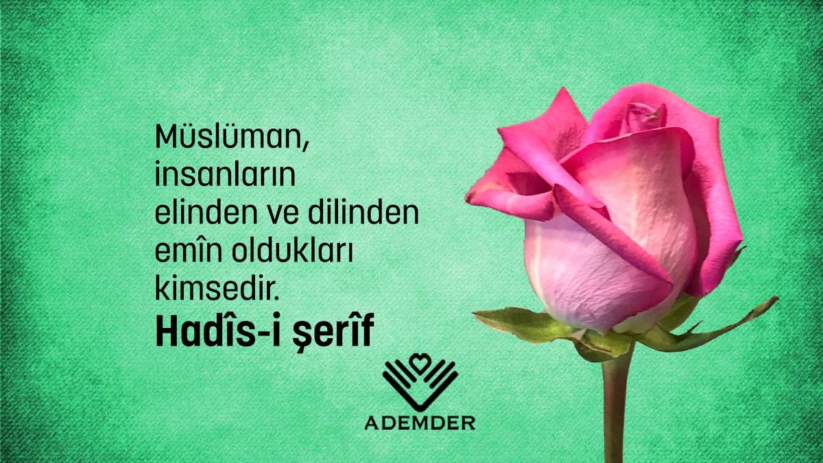 “Müslüman, elinden ve dilinden kimsenin zarar görmediği kimsedir. Muhacir de, Allahü teâlânın yasak ettiği herşeyi terk eden kimsedir.”
Hadîs-i şerîf

#müslüman 
#Islam #huzur