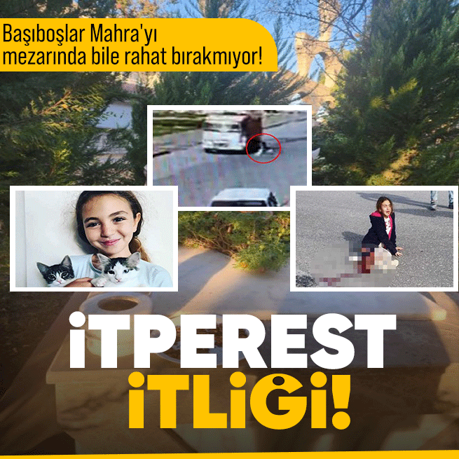 takvim's tweet photo. Sokak köpeklerinin kurbanı olan Mahra'nın mezarına hadsizlik: Mama bıraktılar https://t.co/Y1VeTCSq7X https://t.co/N8xAjedgKR