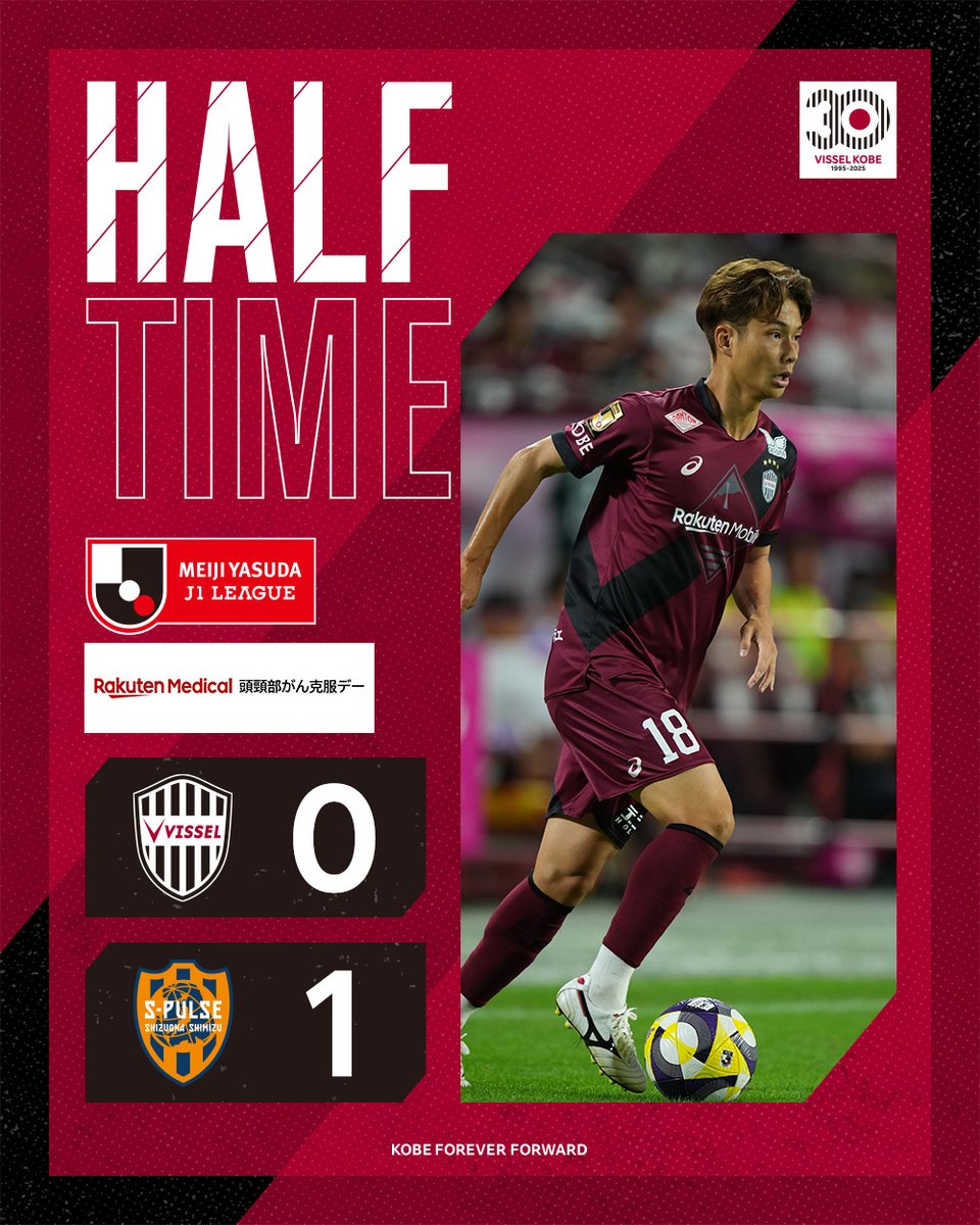 VISSEL KOBE 初期メンバーのサインボール ヴィッセル神戸 選手寄せ書き 直筆サインボール 2013年頃