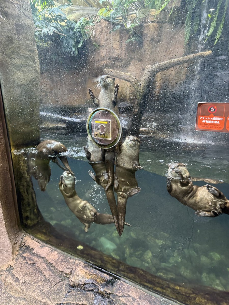 しかしいつみても笑っちゃう（笑）
このセンター3ウソ