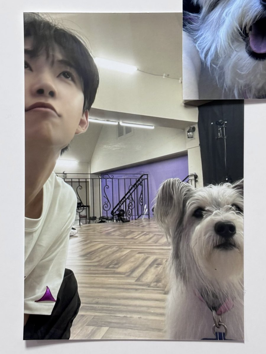 [📁] 250927 BOYS II PLANET ARCHIVE EXHIBITION — AFTER JOURNEY

ctto.

#KIMGEONWOO #ALD1 #ALPHADRIVEONE #김건우 #알파드라이브원