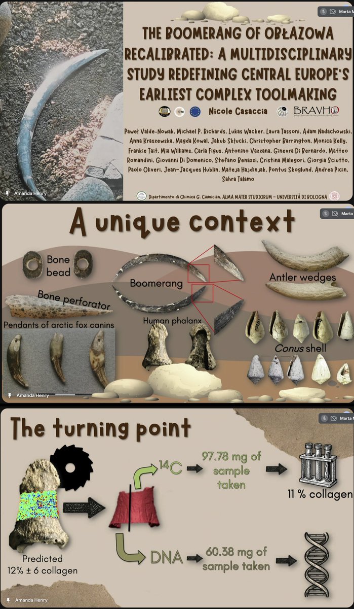 #ESHE2025
Nicole Casaccia ‘The Boomerang of Oblazowa recalibrated…Europe’s earliest complex toolmaking’
UP BOOMERANG from Poland 🤩🌟!! 
&amp; human phal: Homo sapiens (C14 &amp; aDNA) ZooMS, isotopes, C14 on fauna: 42.8-38.5 calBP
Major innovations at the beginning of UP in Europe 😍
