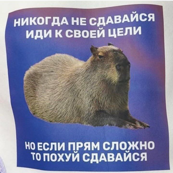 Тапанейро Дизлакуки (@assortisala) on Twitter photo 